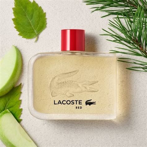 lacoste red superdrug